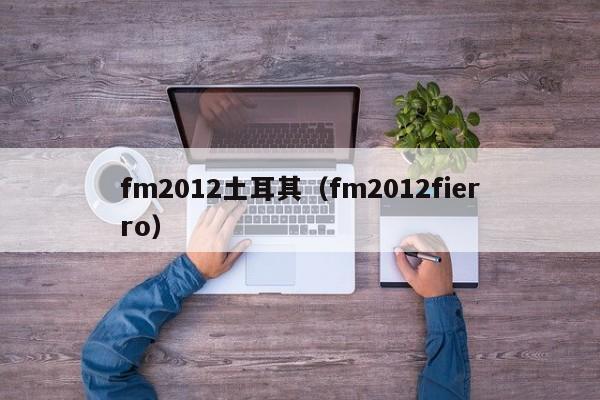 fm2012土耳其（fm2012fierro）