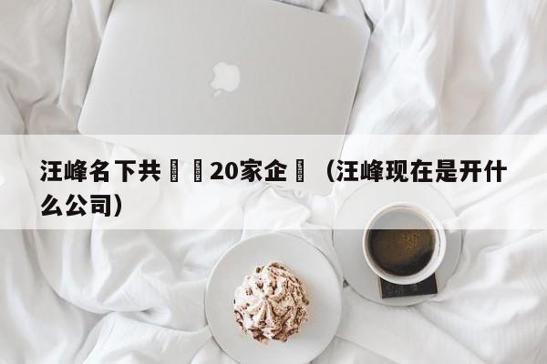 汪峰名下共關聯20家企業（汪峰現在是開什麼公司）