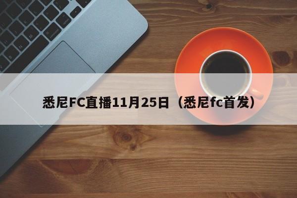 悉尼FC直播11月25日（悉尼fc首發）