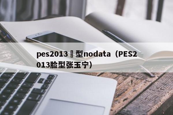 pes2013臉型nodata（PES2013臉型張玉寧）