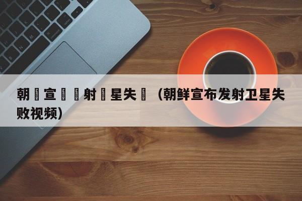 朝鮮宣佈髮射衛星失敗（朝鮮宣布發射衛星失敗視頻）