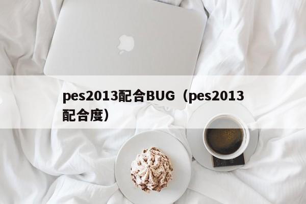 pes2013配合BUG（pes2013配合度）