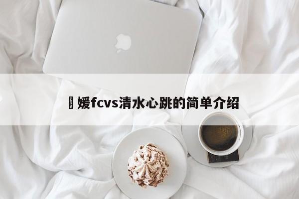 愛媛fcvs清水心跳的簡單介紹