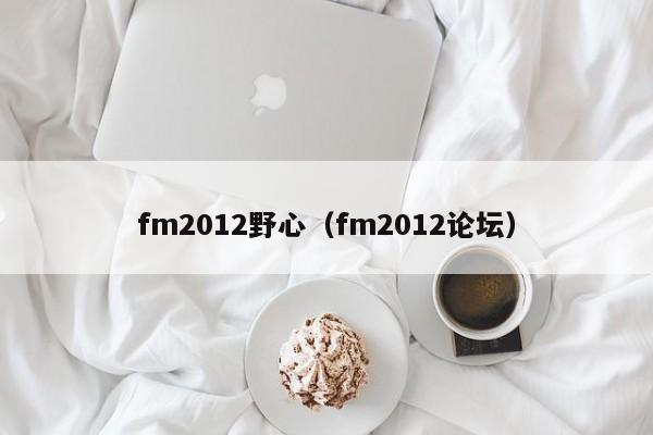 fm2012野心（fm2012論壇）