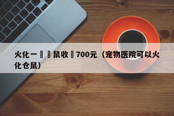 火化一隻倉鼠收費700元（寵物醫院可以火化倉鼠）