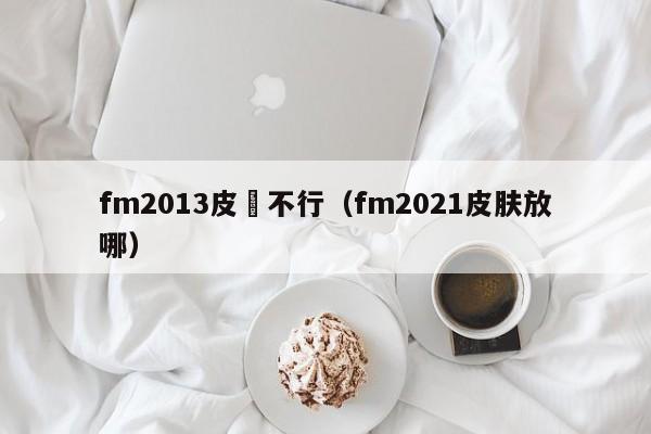 fm2013皮膚不行（fm2021皮膚放哪）