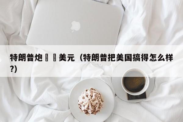 特朗普炮轟強美元（特朗普把美國搞得怎麼樣?）