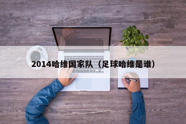 2014哈維國家隊（足球哈維是誰）