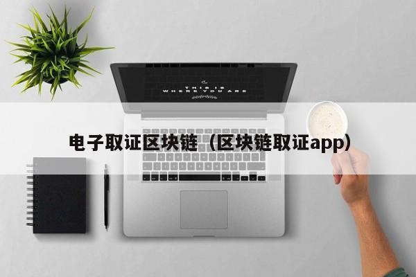 電子取證區塊鏈（區塊鏈取證app）