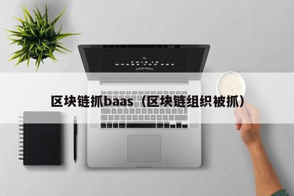 區塊鏈抓baas（區塊鏈組織被抓）