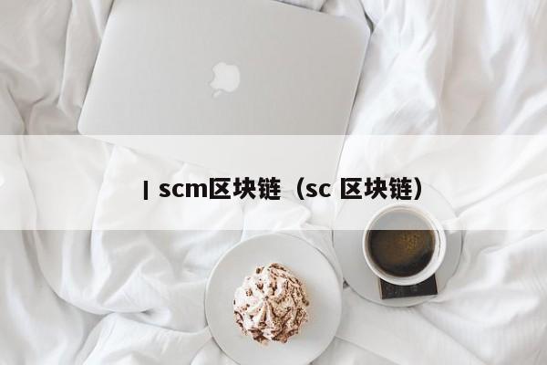 丨scm區塊鏈（sc 區塊鏈）